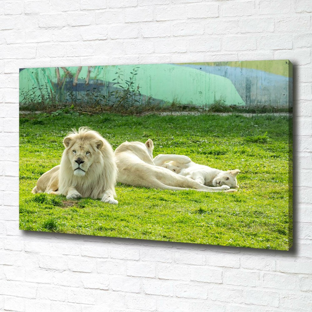 Canvas wall art Beige lions