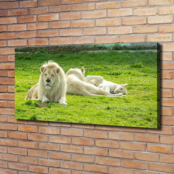 Canvas wall art Beige lions