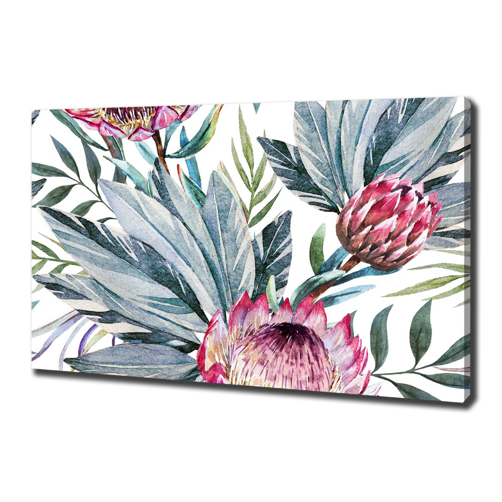 Canvas wall art Protea