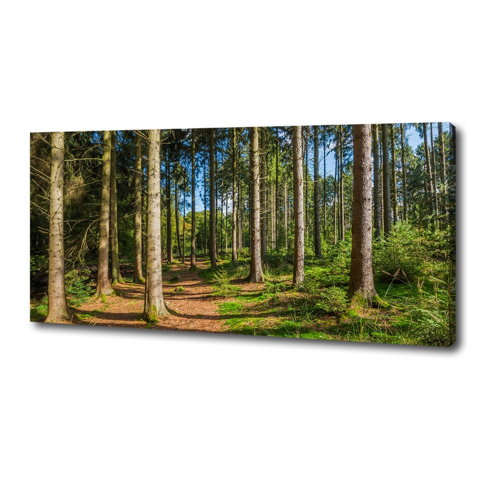 Canvas wall art Panorama of the forest