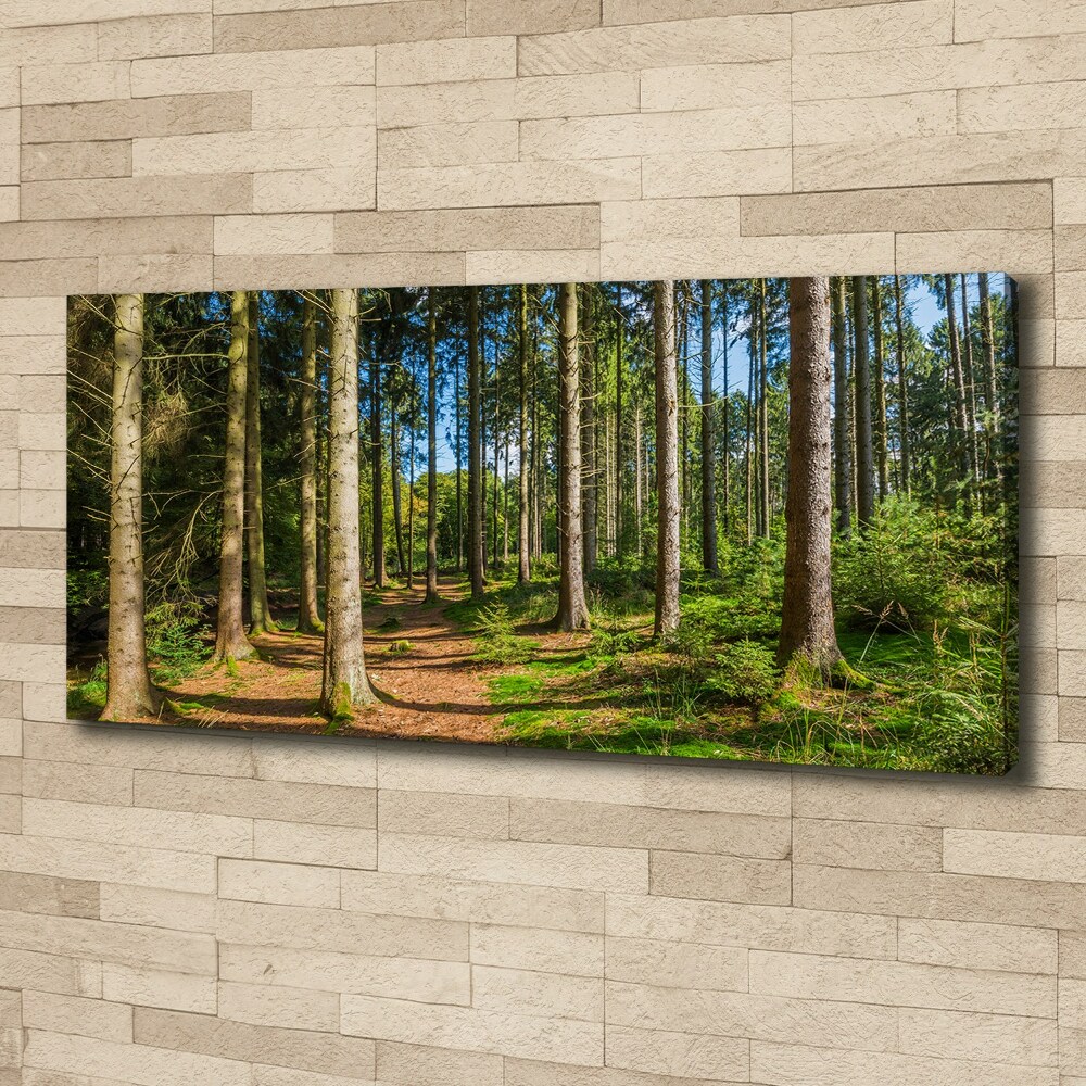 Canvas wall art Panorama of the forest