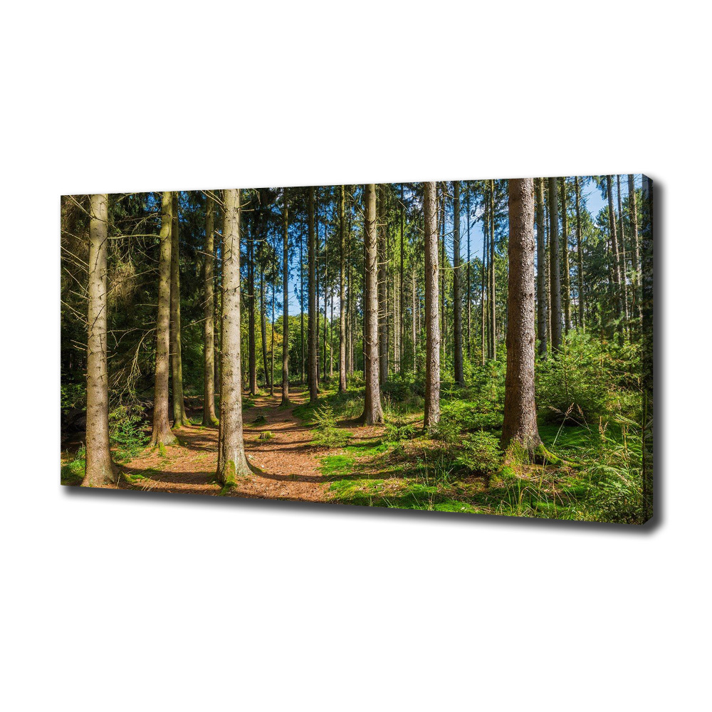 Canvas wall art Panorama of the forest