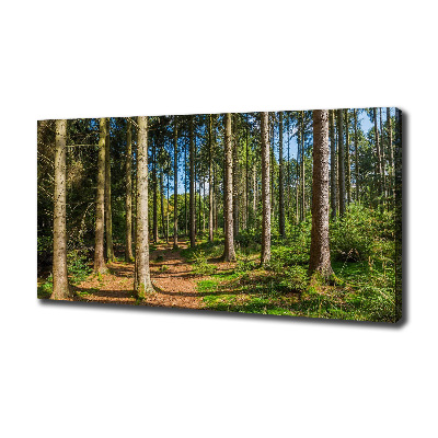 Canvas wall art Panorama of the forest