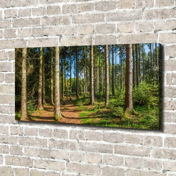 Canvas wall art Panorama of the forest