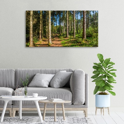 Canvas wall art Panorama of the forest