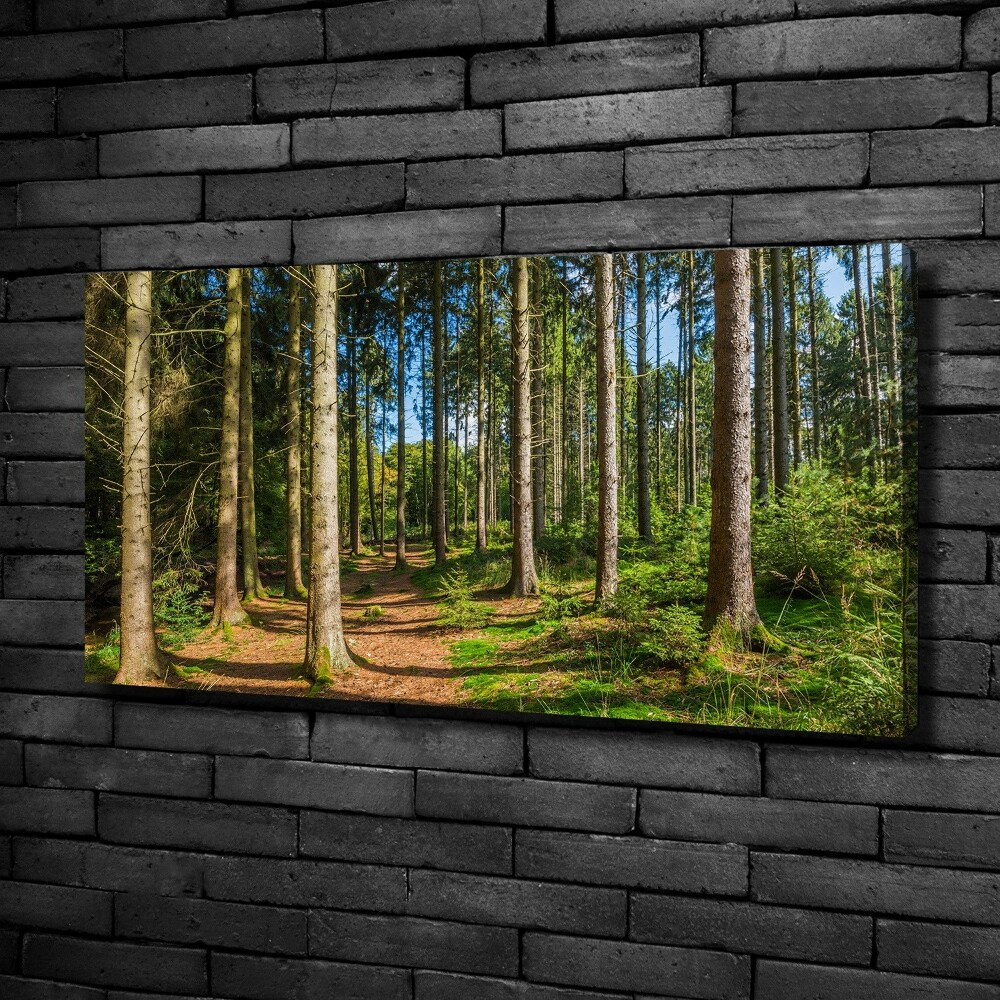 Canvas wall art Panorama of the forest