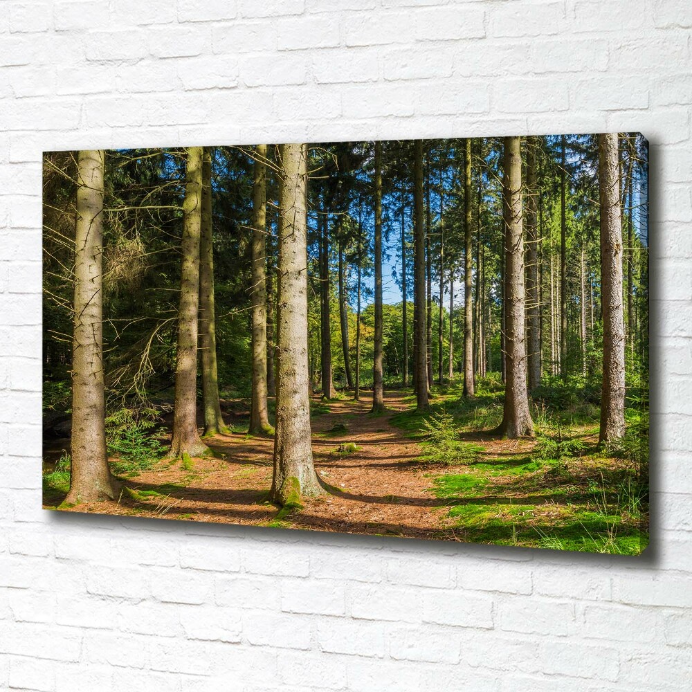 Canvas wall art Panorama of the forest