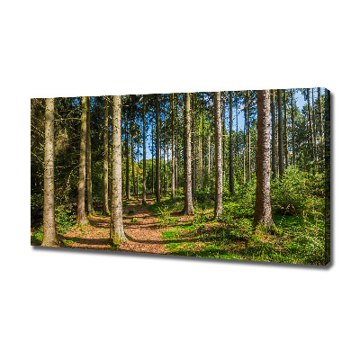 Canvas wall art Panorama of the forest