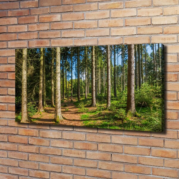 Canvas wall art Panorama of the forest