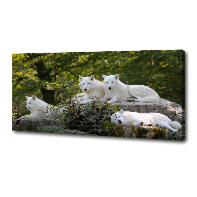 Canvas wall art White wolves rock