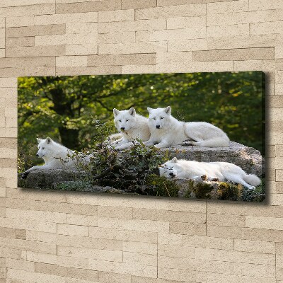 Canvas wall art White wolves rock