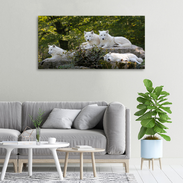 Canvas wall art White wolves rock