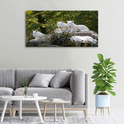 Canvas wall art White wolves rock