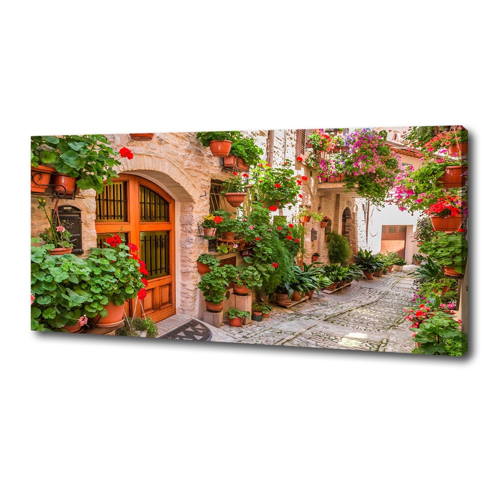 Canvas wall art Charming street