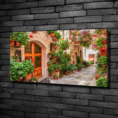 Canvas wall art Charming street