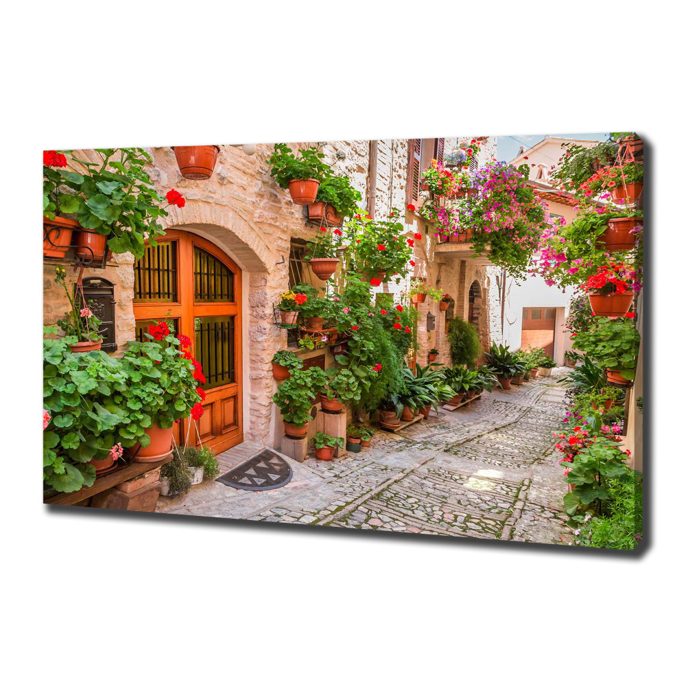 Canvas wall art Charming street