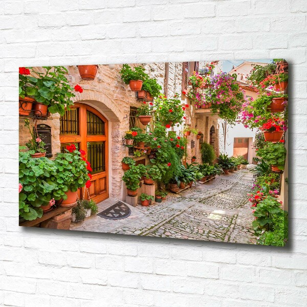 Canvas wall art Charming street