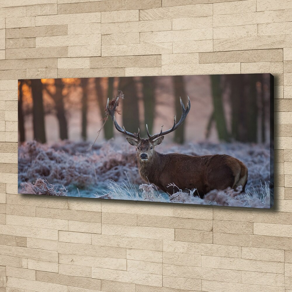 Canvas wall art Deer about the east