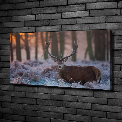 Canvas wall art Deer about the east