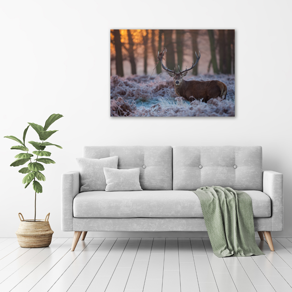 Canvas wall art Deer about the east