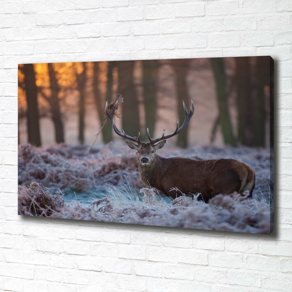 Canvas wall art Deer about the east