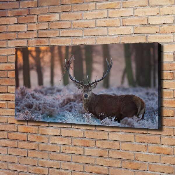 Canvas wall art Deer about the east