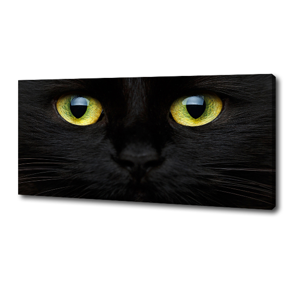 Canvas wall art Cat's eyes