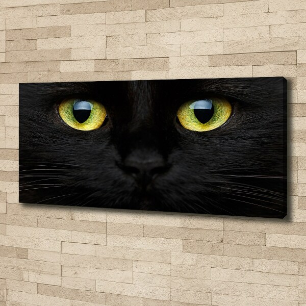 Canvas wall art Cat's eyes