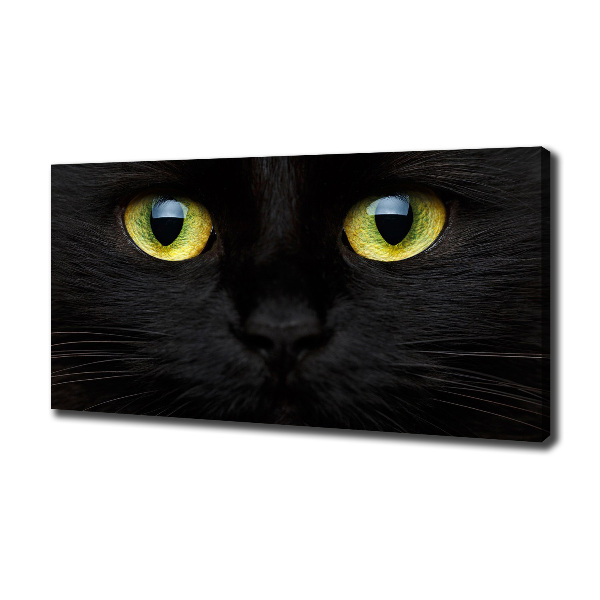 Canvas wall art Cat's eyes