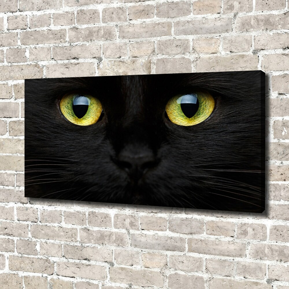 Canvas wall art Cat's eyes