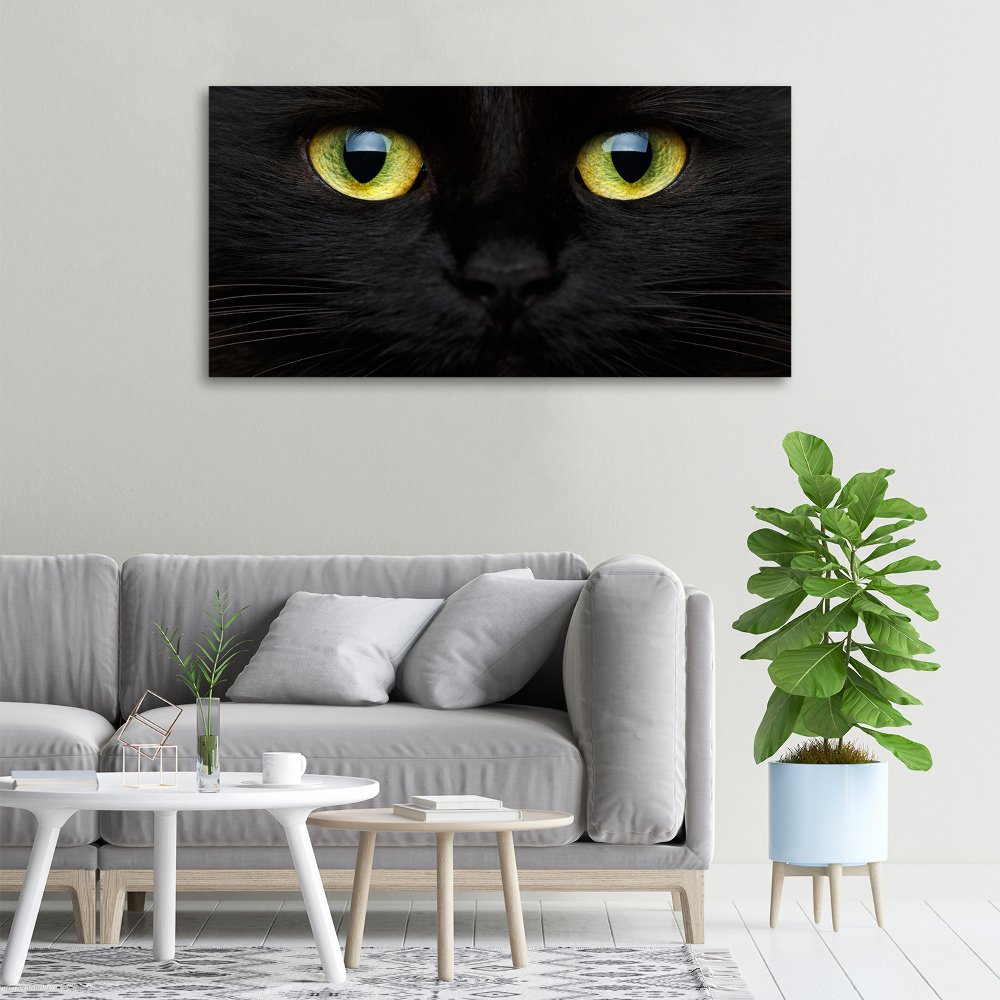 Canvas wall art Cat's eyes