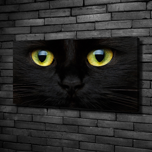 Canvas wall art Cat's eyes