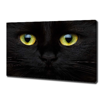 Canvas wall art Cat's eyes