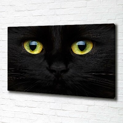 Canvas wall art Cat's eyes