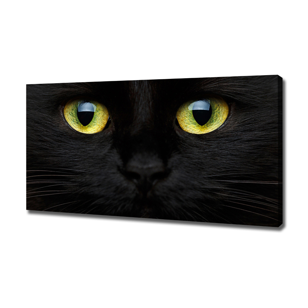 Canvas wall art Cat's eyes