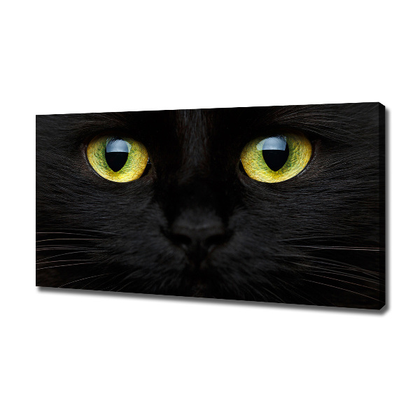 Canvas wall art Cat's eyes