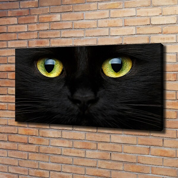 Canvas wall art Cat's eyes