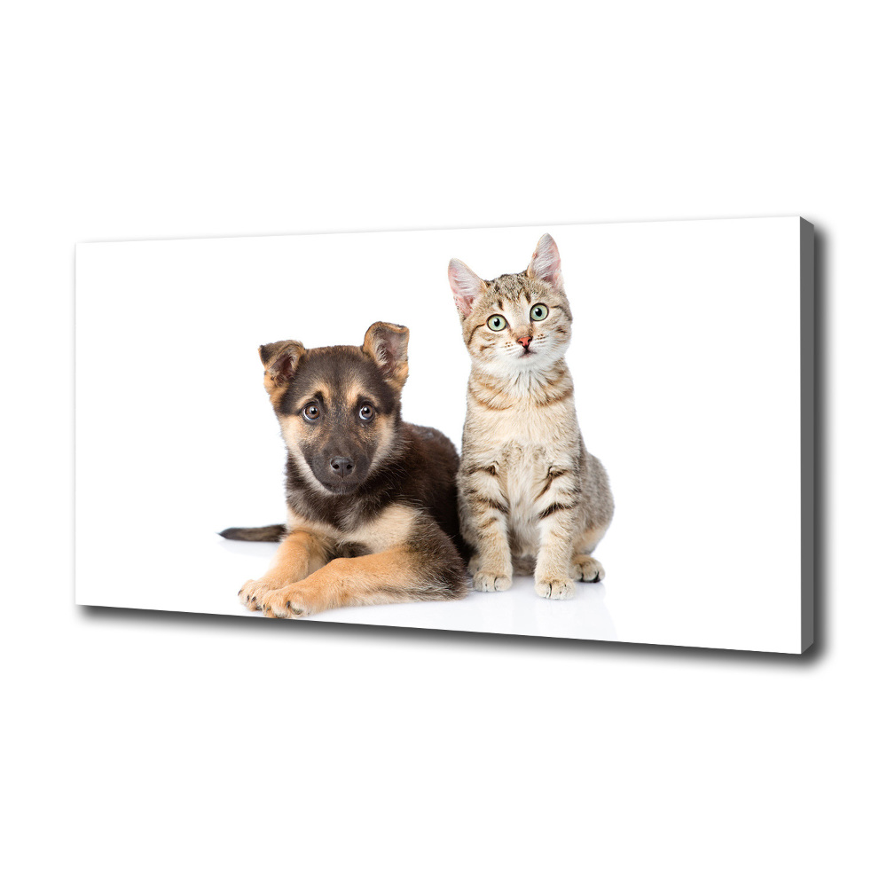 Canvas wall art Dog and cat