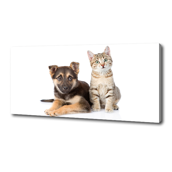 Canvas wall art Dog and cat