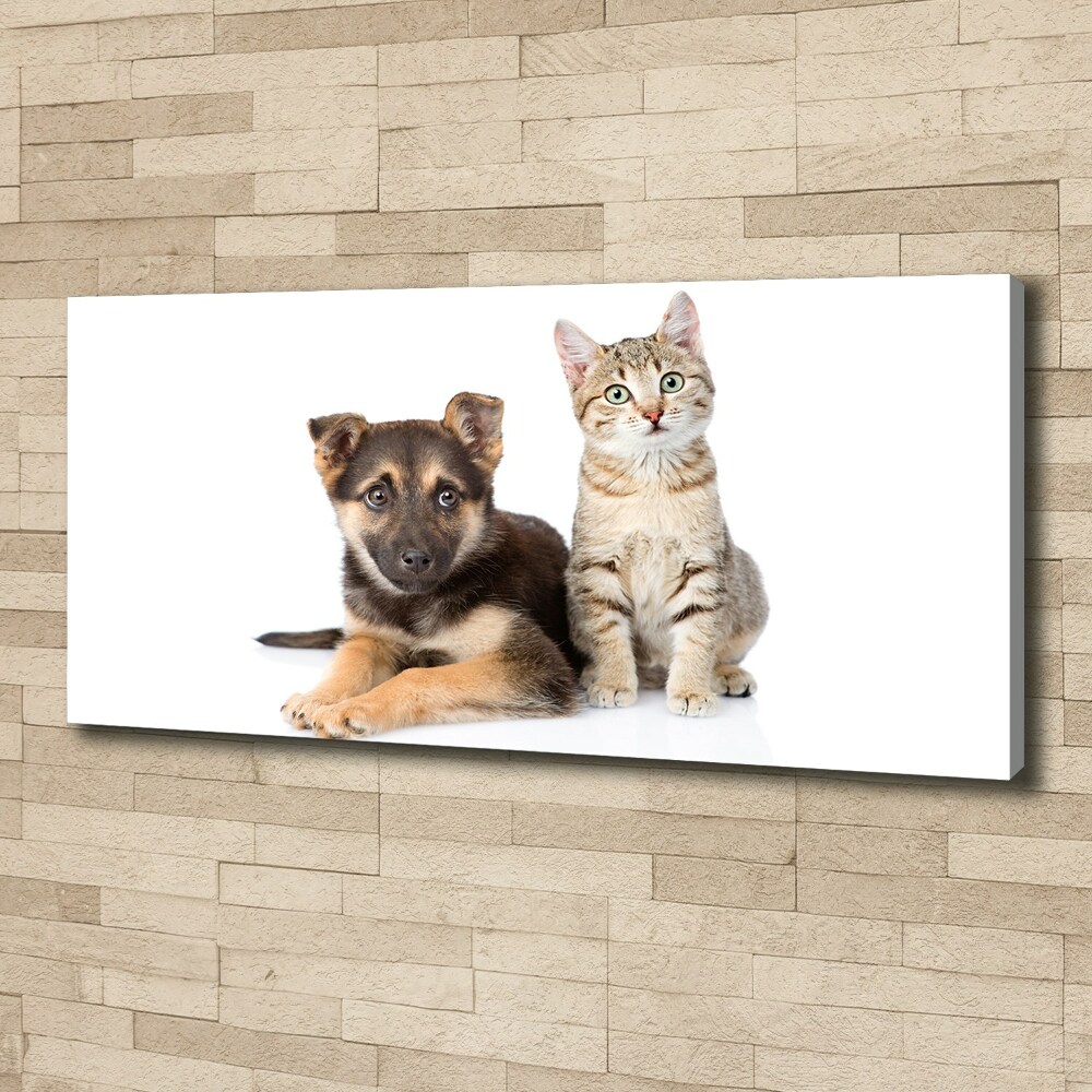 Canvas wall art Dog and cat