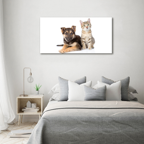 Canvas wall art Dog and cat