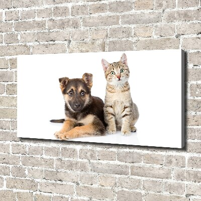 Canvas wall art Dog and cat