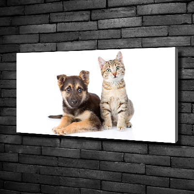 Canvas wall art Dog and cat