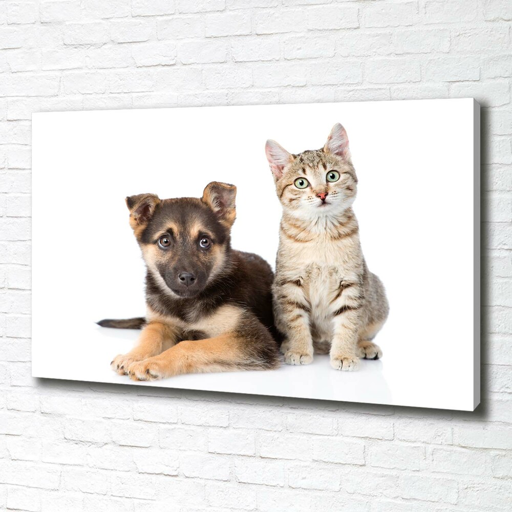 Canvas wall art Dog and cat