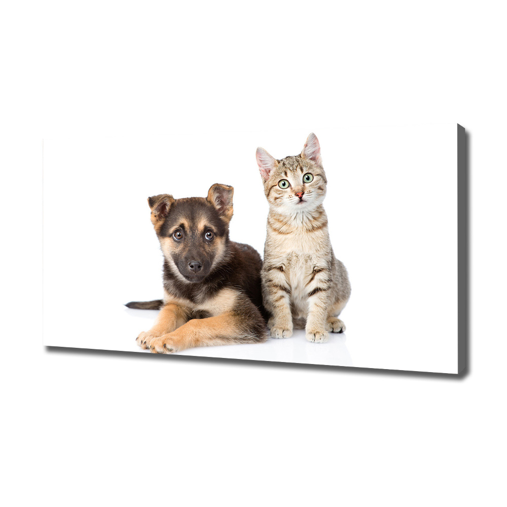 Canvas wall art Dog and cat