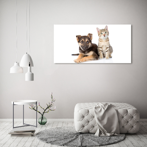 Canvas wall art Dog and cat