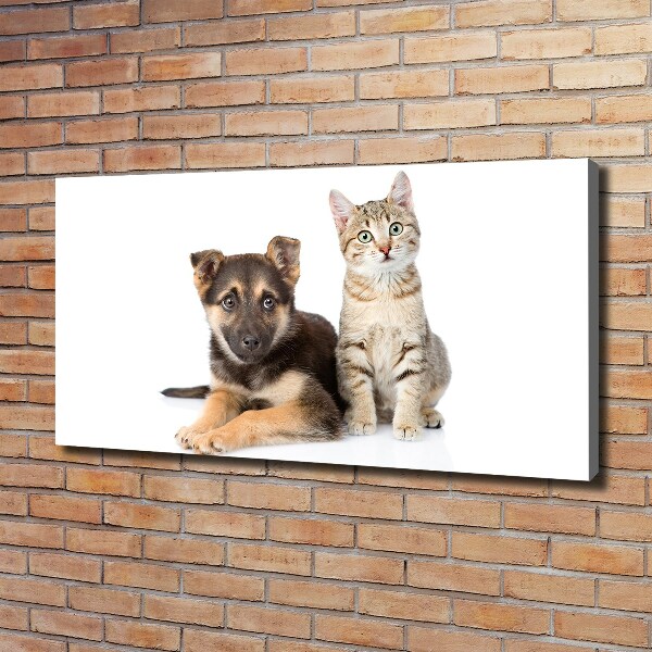 Canvas wall art Dog and cat