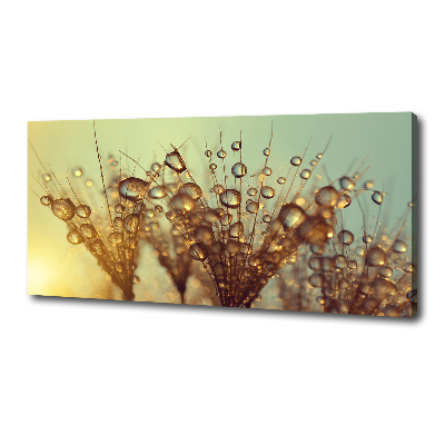 Canvas wall art Dandelion seeds