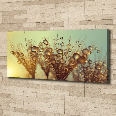 Canvas wall art Dandelion seeds