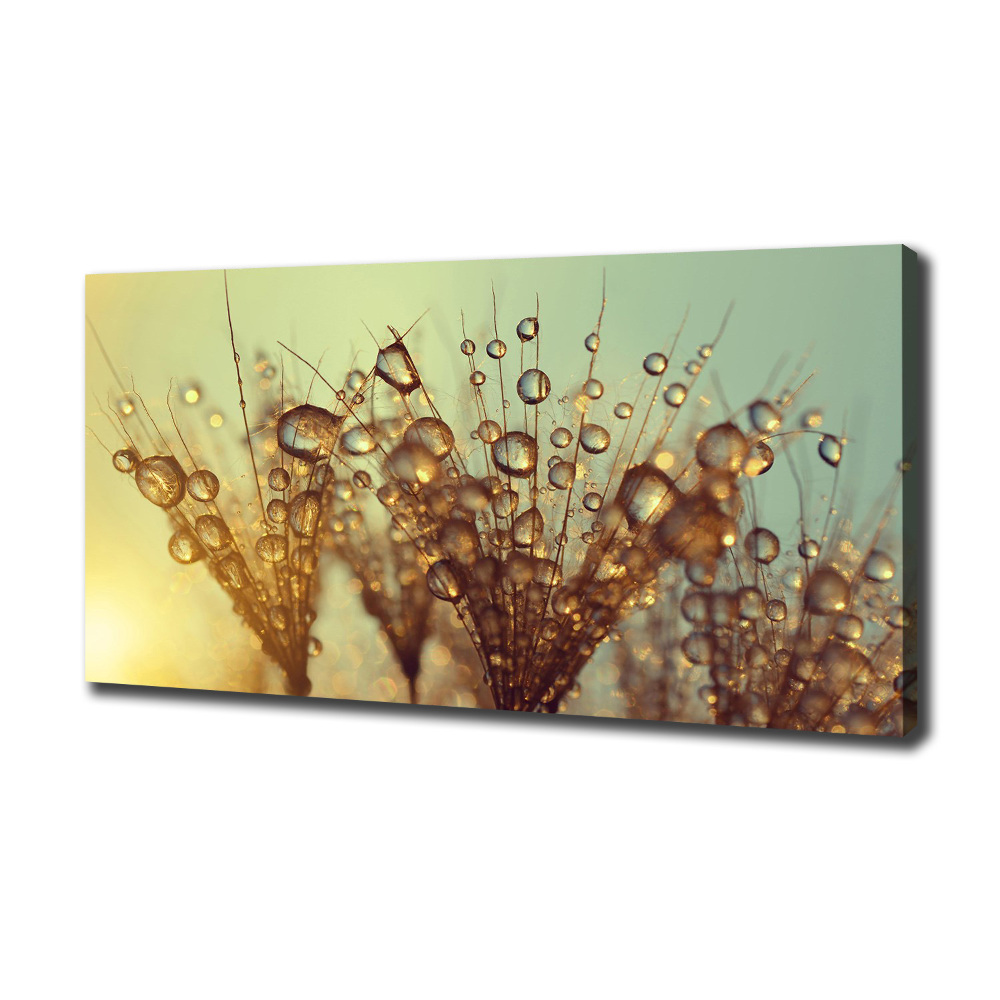 Canvas wall art Dandelion seeds